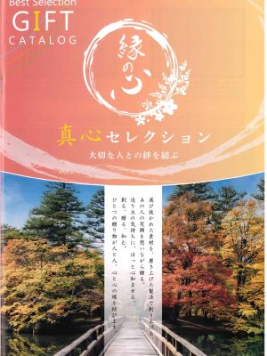 ilovepdf_merged (5)_page-00011